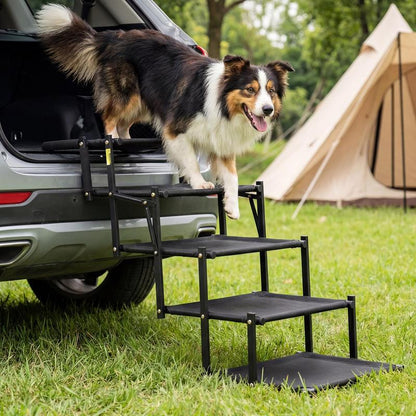PawLift™ Easy Climb